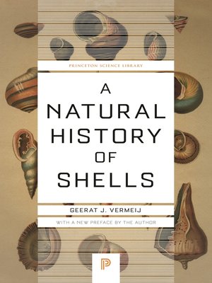 cover image of A Natural History of Shells